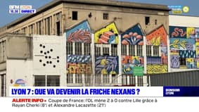 7e arrondissement de Lyon : que va devenir la friche Nexans ?
