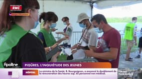 Piqûres sauvages : l'inquiétude des jeunes
