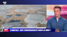 Story 9 : Canicule, jusqu'à 42 °C attendus demain - 17/06