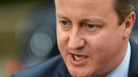 David Cameron a jugé que les propositions faites sur le Brexit n'étaient pas suffisantes - Vendredi 29 janvier 2016
