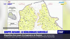 Grippe aviaire: une nouvelle zone de contrôle autour de Boulogne-sur-Mer