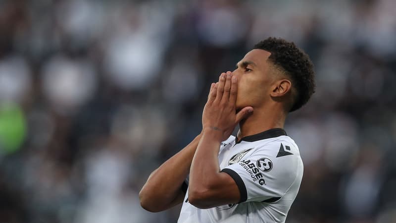 Vitoria Guimaraes