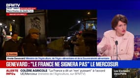 Mercosur: "Rien ne garantit que le Parlement européen valide cet accord", estime la ministre de l'Agriculture 