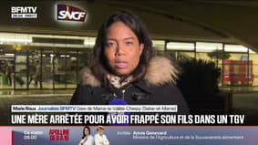 Une mère, suspectée de violences sur son fils de 6 ans dans un train, interpellée en Seine-et-Marne