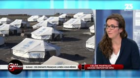 Syrie: "De très nombreux Français et leurs enfants sont encore avec l'Etat islamique"