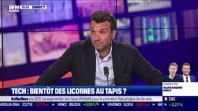 Tech : bientôt des licornes au tapis ?