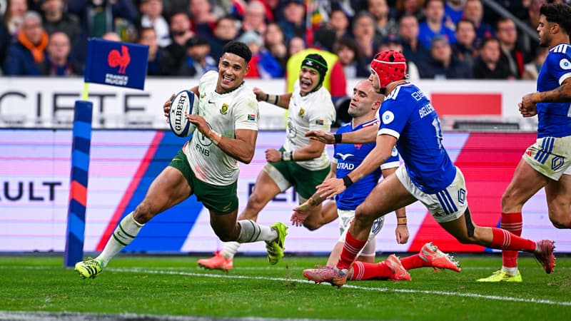 "Sur le match il n'y a pas trop de débat": Picamoles a vu des Sud-Africains bien supérieurs aux Bleus malgré les discours positifs