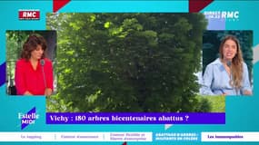 RMC s’engage pour vous : 180 arbres bicentenaires abattus à Vichy ? - 31/05