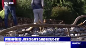 Intempéries: des dégâts dans le Sud-Est