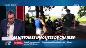« Les 3 histoires de Charles Magnien » : Rappel à l'ordre des touristes qui ne portent pas de masques à Bali, une PME alsacienne rend accessible en ligne le magazine Playboy, et les hippopotames d'Escobar sont incontrôlables en Colombie - 21/01