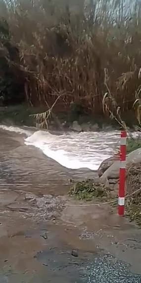 Tempête Gloria : routes inondées à Saint-André, dans les Pyrénées-Orientales - Témoins BFMTV