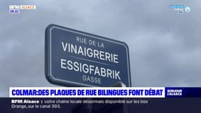 Colmar: des plaques de rue bilingues font débat