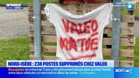 Nord-Isère: 238 postes supprimés chez Valeo