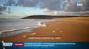 La plage de Surtainville