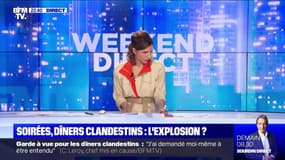 Toulouse: une centaine de fêtards verbalisés après une soirée clandestine - 11/04