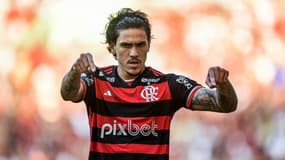 Pedro - Flamengo