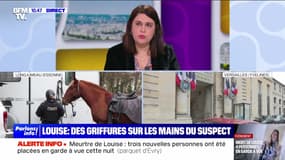 Louise : des griffures sur les mains du suspect - 11/02