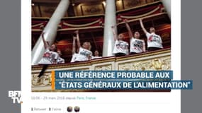 Des militants de la cause animale s'introduisent à l'Assemblée