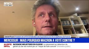 Mercosur: "On est favorable à la signature de cet accord", explique Gabriel Picard (FEVS)