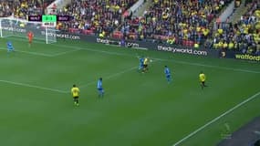 Watford - Bournemouth (2-2) : le résumé
