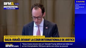 Blocage de l'aide humanitaire à Gaza: les États-Unis remettent en doute l'impartialité de l'UNRWA