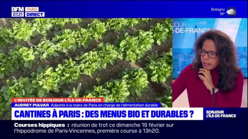 Cantines à Paris: des menus bio et durables