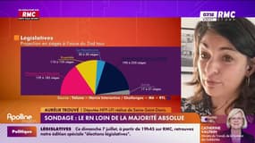 "Le Nouveau Front populaire peut avoir une majorité absolue ce dimanche", espère Aurélie Trouvé, députée LFI de Seine-Saint-Denis 
