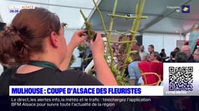 Mulhouse: la coupe d'Alsace des fleuristes avait lieu ce dimanche