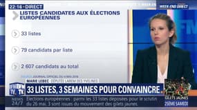 Élections européennes: 33 listes, 3 semaines pour convaincre (1/3)