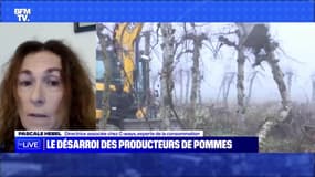 Le désarroi des producteurs de pommes - 14/01