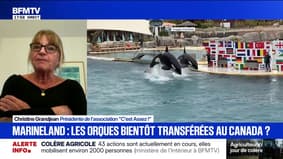 Christine Grandjean, présidente de l'association "C'est Assez!", estime que le transfert de deux orques du parc aquatique Marineland vers le Canada "est une bonne chose"
