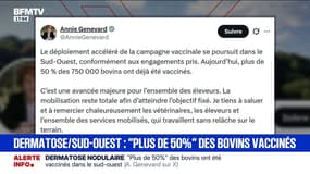 Dermatose nodulaire: la ministre de l'Agriculture Annie Genevard indique que "plus de 50%" des bovins ont été vaccinés dans le sud-ouest
