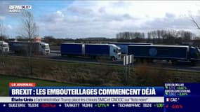 Brexit: les embouteillages de camions commencent déjà dans les Hauts-de-France 