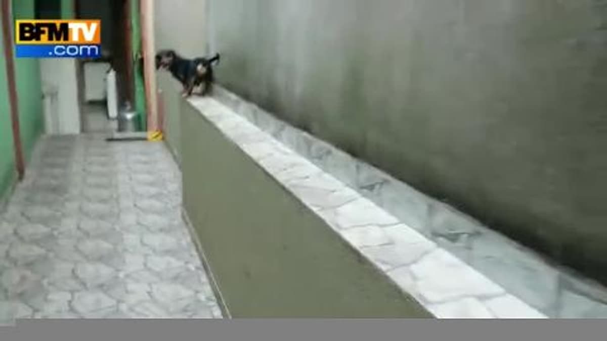 placeholder video