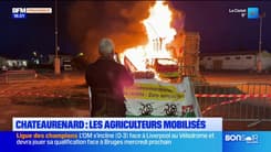 Châteaurenard : mobilisation des agriculteurs ce jeudi pour exprimer leur mécontentement