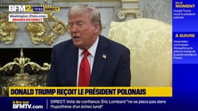Affaire Jeffrey Epstein: "C'est une farce des démocrates qui ne finit jamais", déclare Donald Trump