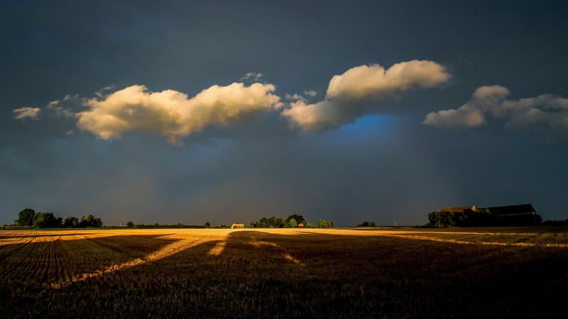 Photo d'un stratocumulus prise à Godewaersvelde (Nord), le 15 août 2017.