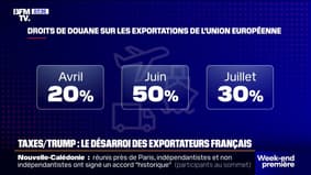 Droits de douanes américains à 30%: l'inquiétude des exportateurs français 