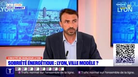 Lyon: Grégory Doucet étudie la possibilité de baisser la température de certains bâtiments