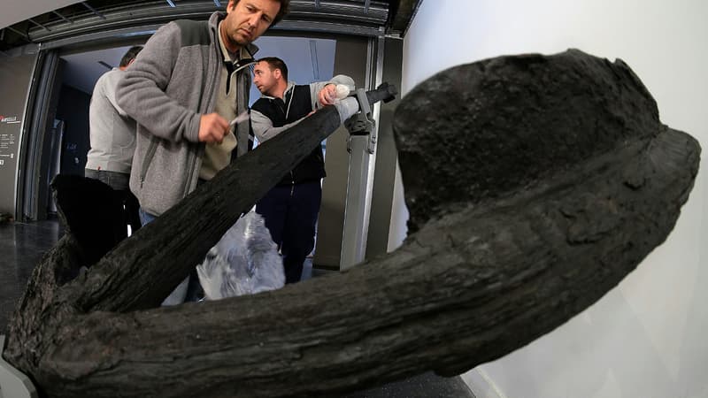 L'ancre du bateau qui amena la peste en 1720, exposée au musée de l'Histoire de Marseille, ce lundi. 