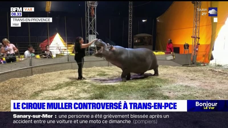 Regarder la vidéo Var: controversé pour son usage d'animaux, le cirque Muller de retour à Trans-en-Provence