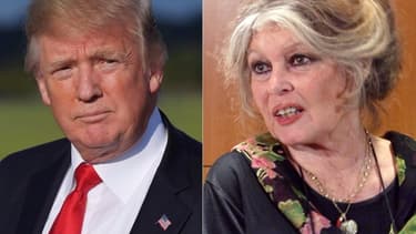 Donald Trump et Brigitte Bardot