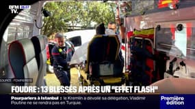 Bouches-du-Rhône: 13 personnes blessées après un impact de foudre au zoo de la Barben