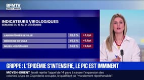 Où en est l'épidémie de grippe en France?