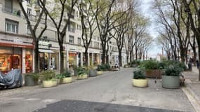 L'avenue Henri-Barbusse à Villeurbanne, en décembre 2024.