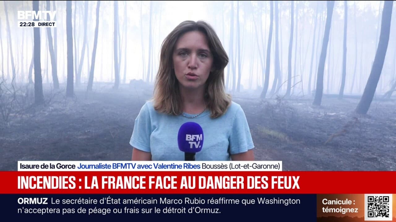 Canicule: un feu de forêt est toujours en cours dans le Lot-et-Garonne