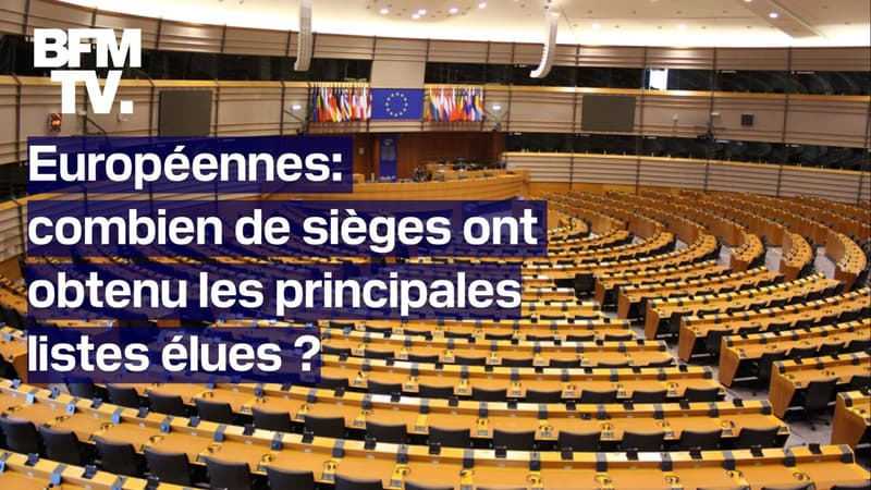 Regarder la vidéo Européennes: combien de sièges les principales listes élues ont-elles obtenu au Parlement européen?  