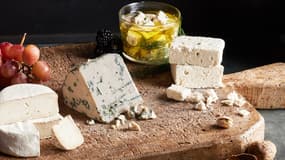 Des prototypes d'alternatives végétales au fromage développées par la start-up américain Climax Foods.