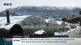 Alpes-Maritimes: neige, vent, froid, sale temps pour les agriculteurs