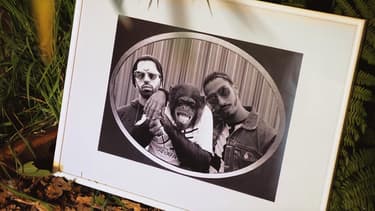 Une image extraite du clip de PNL "On enverra Mowgli chercher médailles"